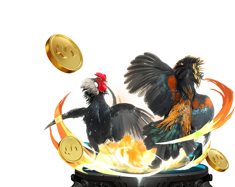 Trải Nghiệm Trực Tiếp Đỉnh Cao